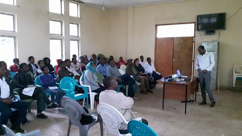 Quality Improvement Teams In Shebedino