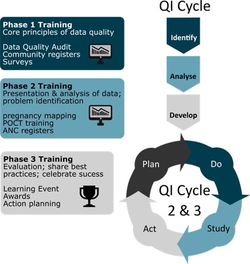 Implementation Phases